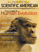 2003 Human Evolution